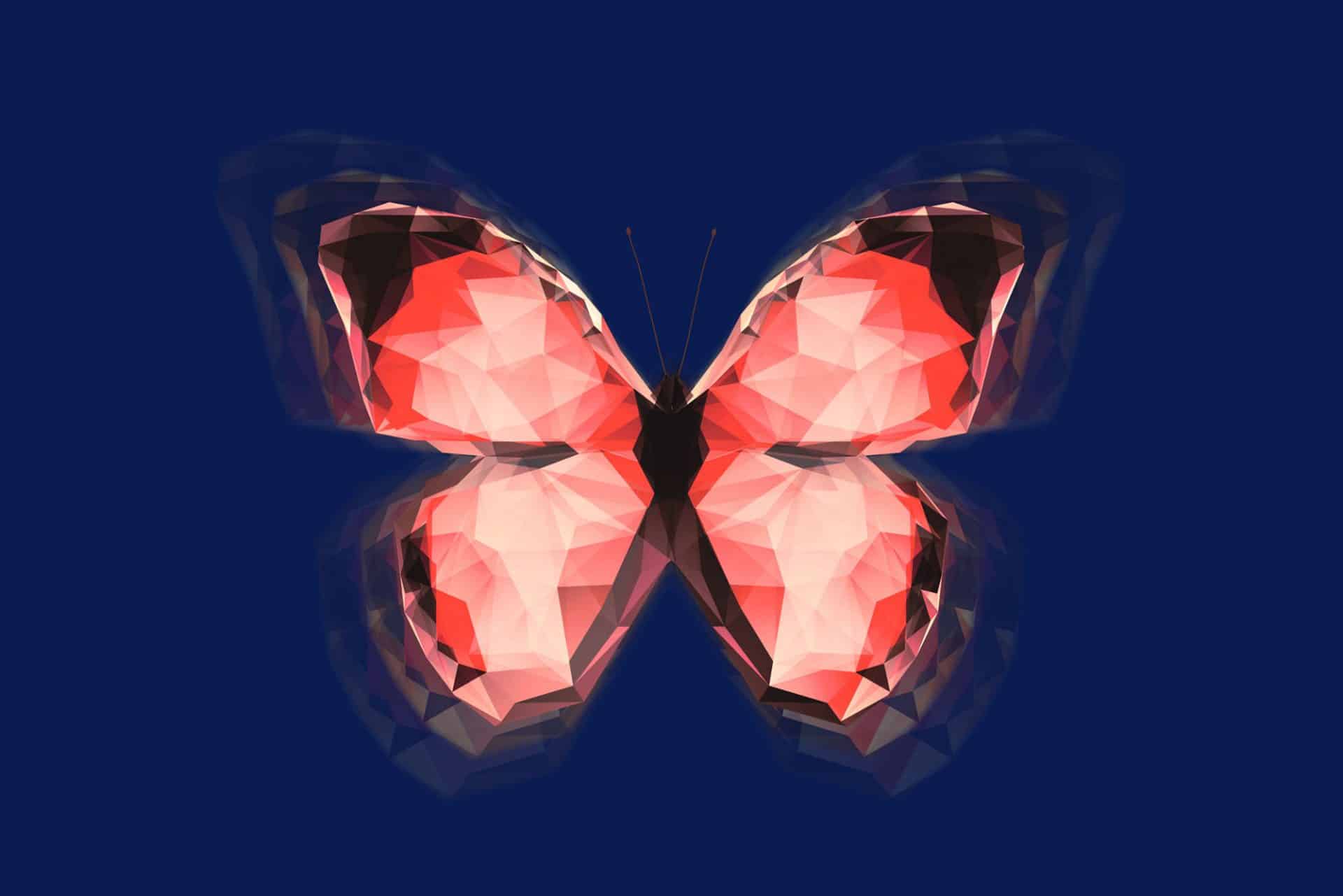 Blog_Titelbild_Schmetterling